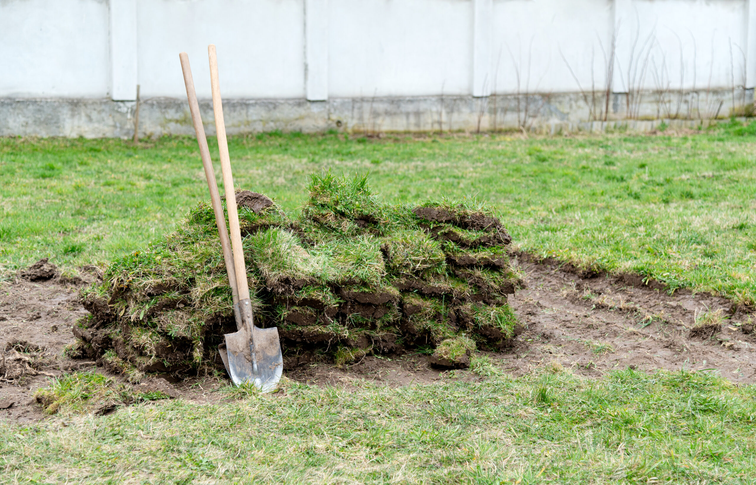 Two shovels are stuck in a pile of dug-up grass sod on a lawn, with bare soil nearby—possibly cleared for garden fencing or timber decking—set against a white wall in the background.